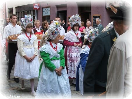 DSCF6528