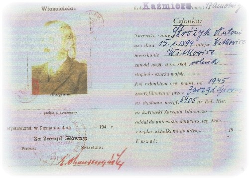 Wielkopolski Krzyż Powstańczy